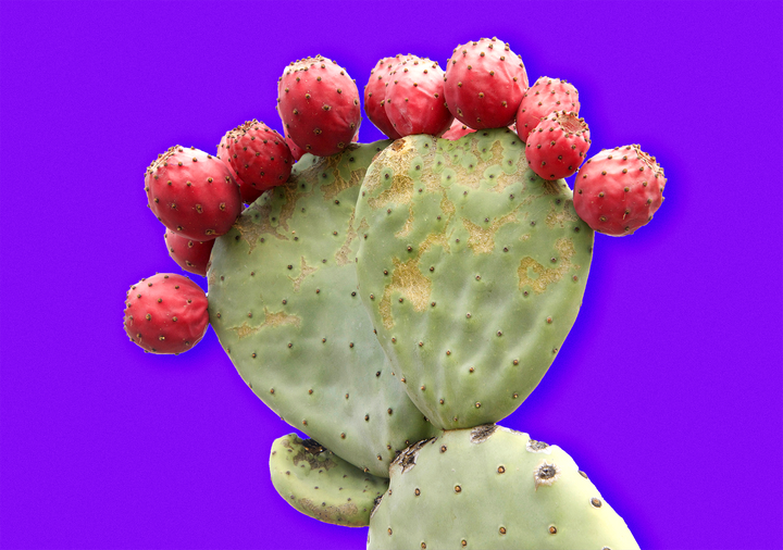 Health Benefits of Prickly Pear Cactus